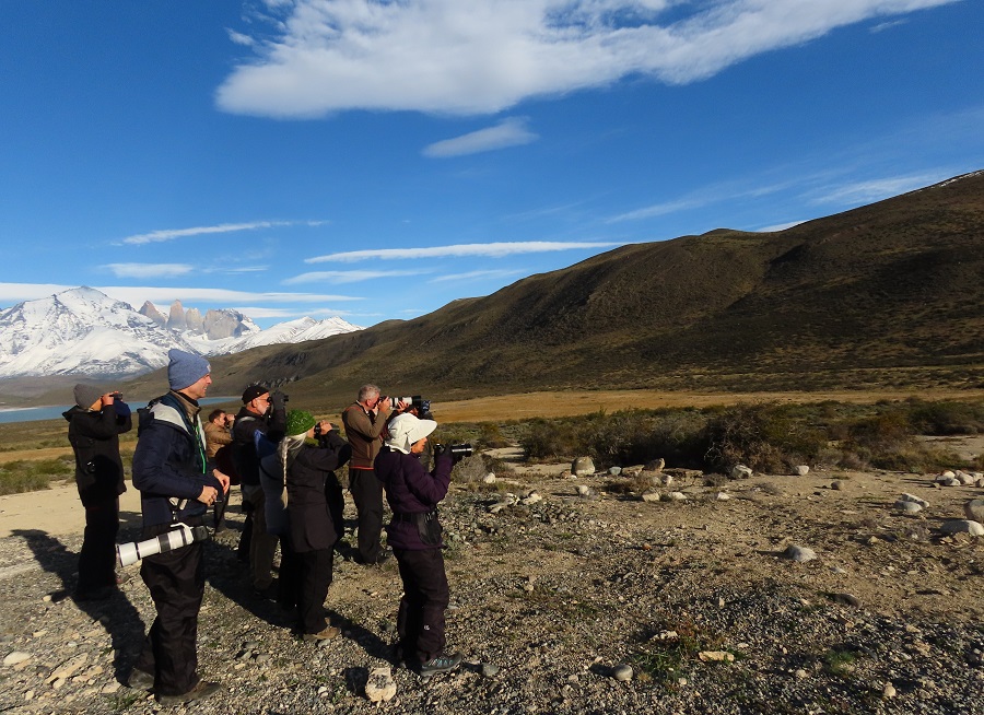 Group at Torres