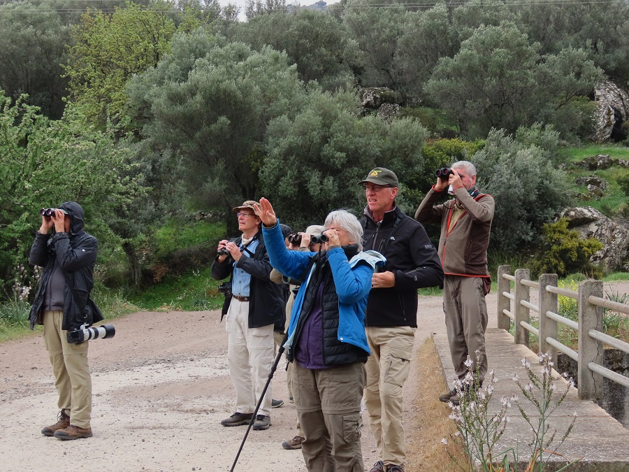 Sunrise Birders. Photo © Gina Nichol. 