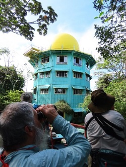 Sunrise Birding around the Canopy Tower in Panama.