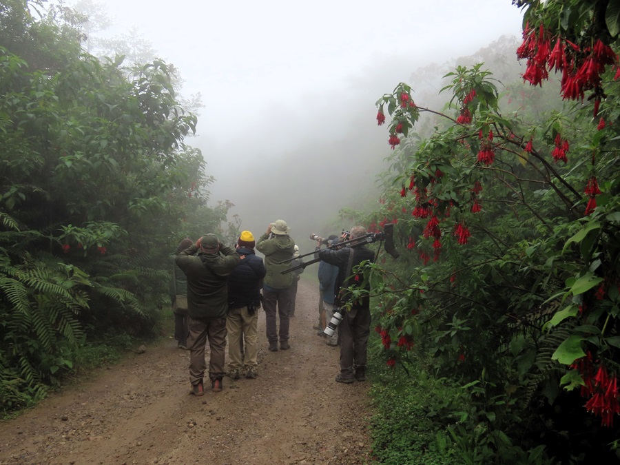 Birding in the fog, Bolivia. Photo © Gina Nichol 