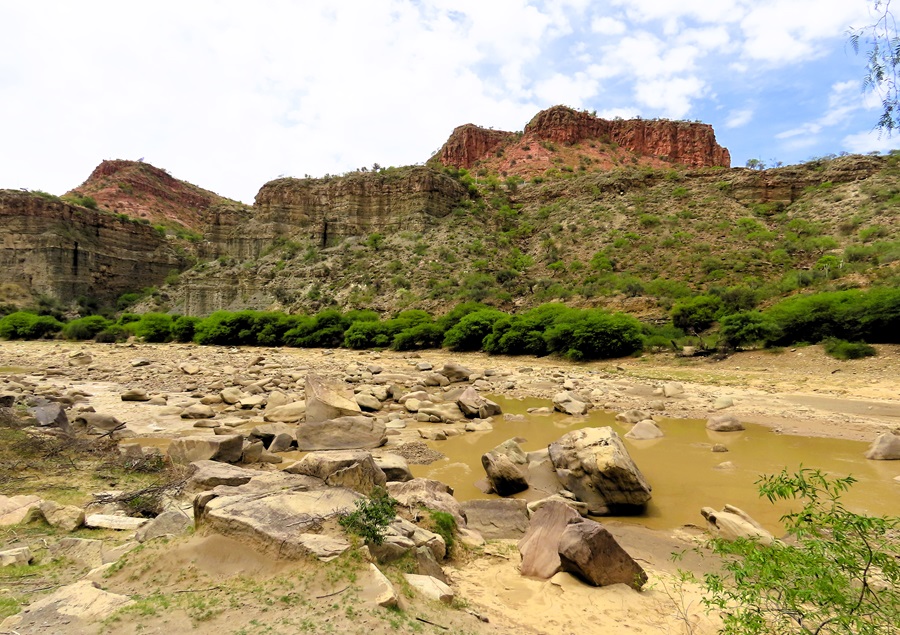 Scenery at Red-fronted Macaw Reserve, Bolivia. Photo © Gina Nichol 