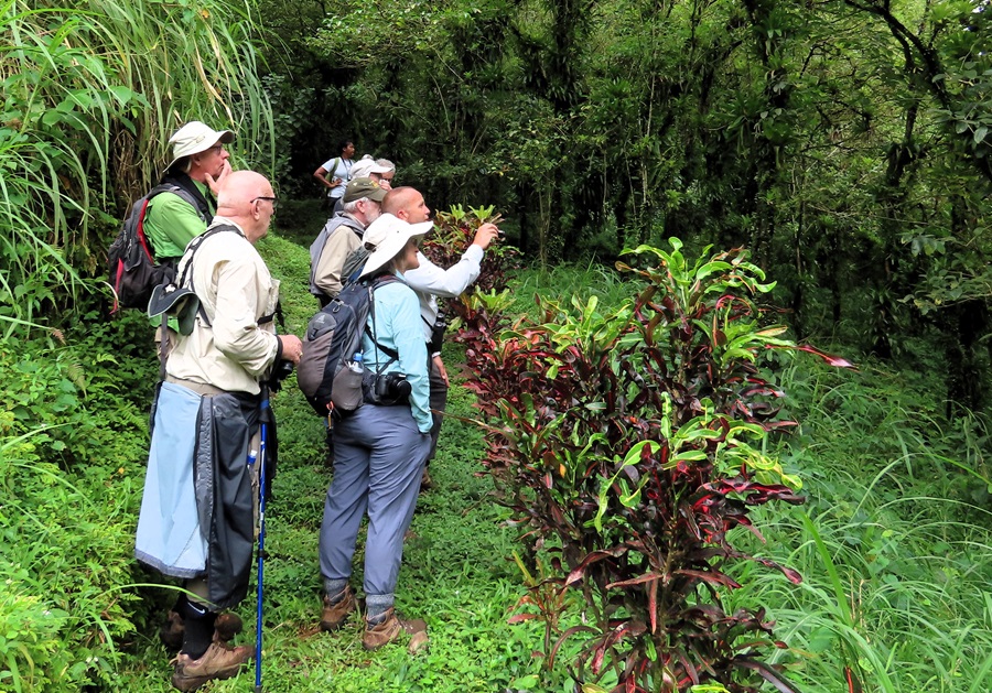 Birding on St. Vincent. © Gina Nichol