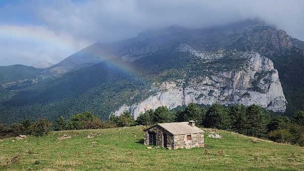 Pyrenees scene by Frank Gallo 