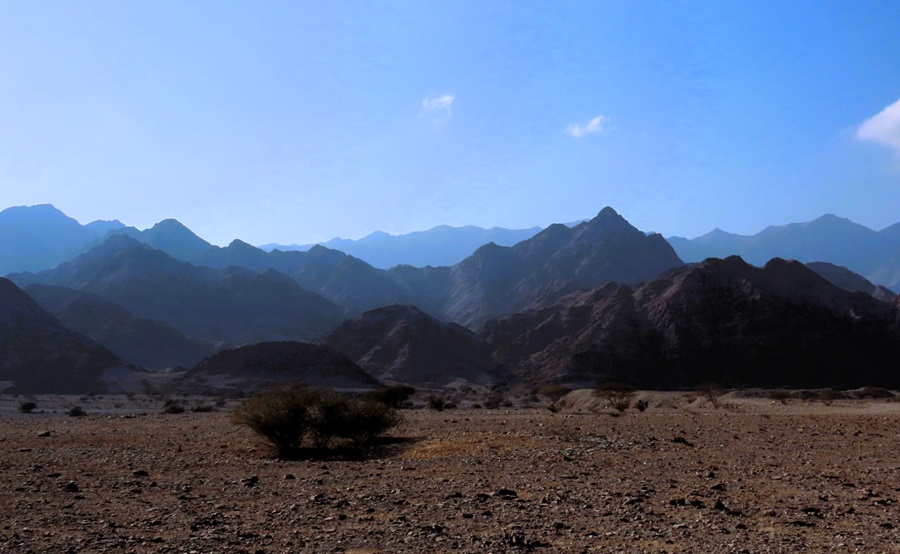 Wadi Sireen Reserve, Oman. Photo © Gina Nichol 