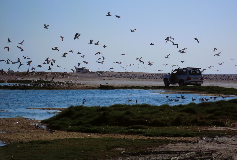 Beach near Salalah, Oman. Photo © Gina Nichol 