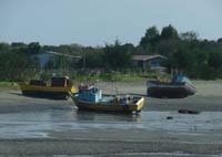 FishingBoats