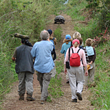 Group with Giant Tortoise approaching!