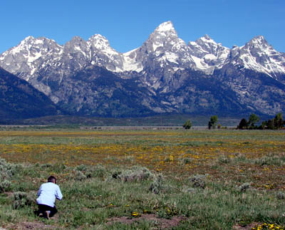 Grand Tetons