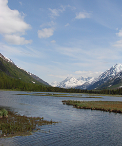 Tern Lake by Gina Nichol