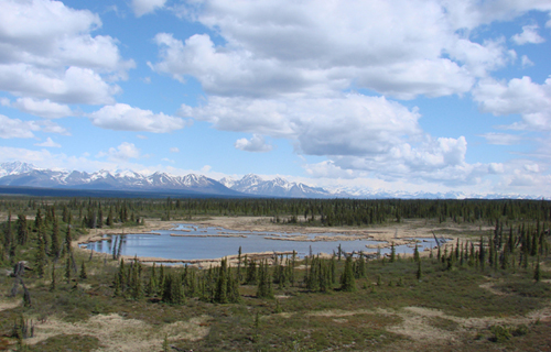 Denali Highway by Gina Nichol.