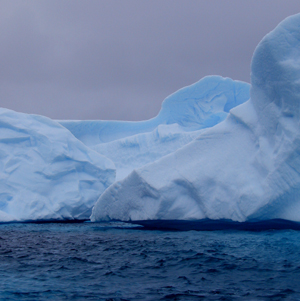 icebergs