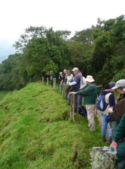 Birding at Rio Blanco.