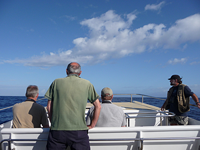 Pelagic trip.  Photo by Gina Nichol.