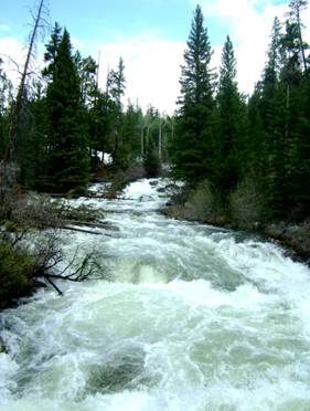 Madison River