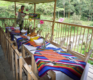 Breakfast on the Veranda. Photo by Gina Nichol.