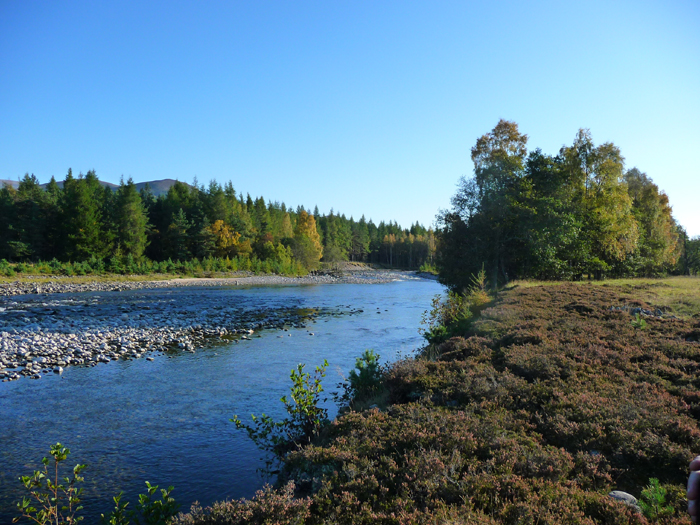 Where the Dipper was seen. Photo © Gina Nichol. 