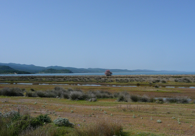 Lesvos Landscape 