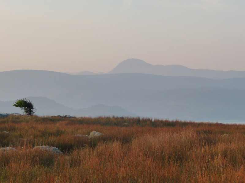 Lesvos Landscape 