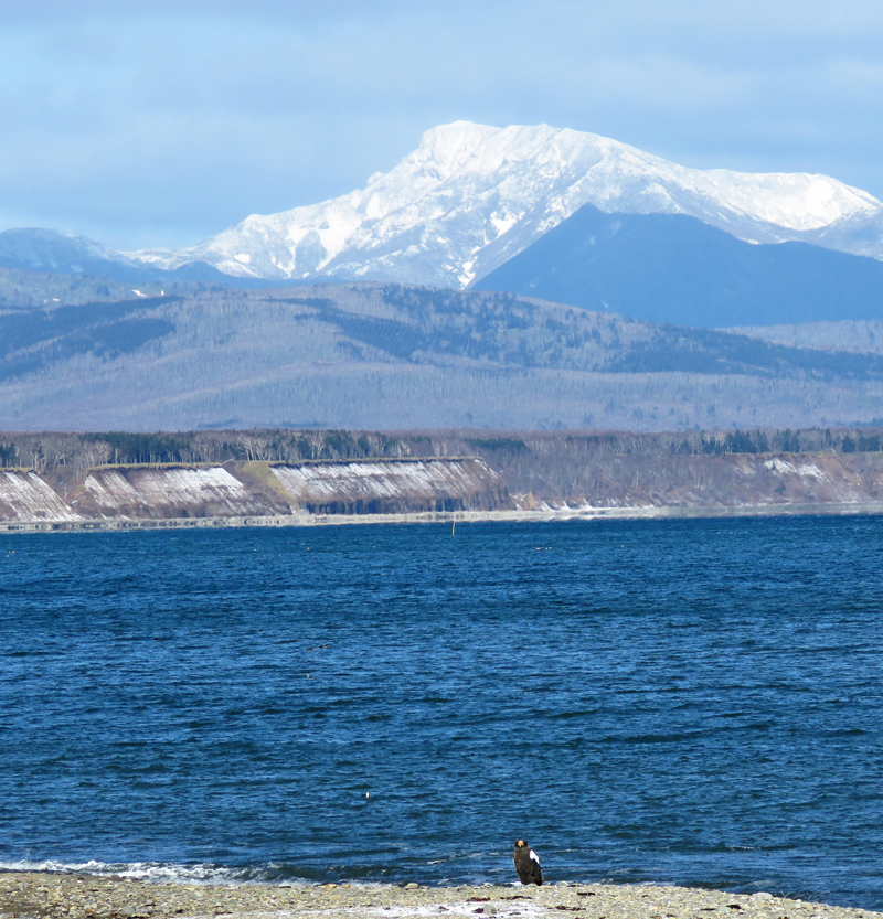 Hokkaido scenery. Photo  Gina Nichol. 