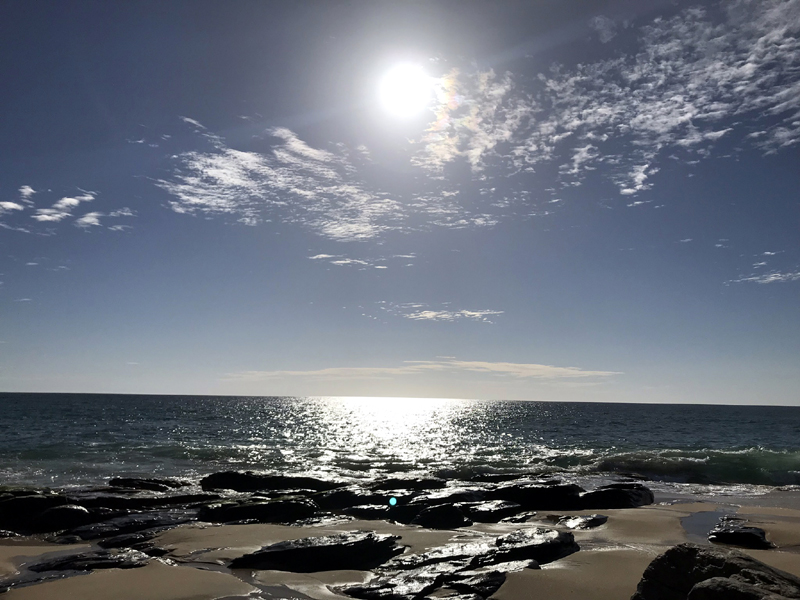 from the beach at todos santos