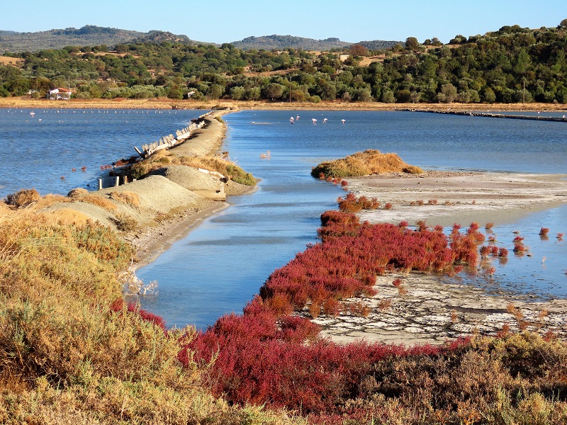 Saltpans at Polychnitos, Lesvos, Greece. Photo © Gina Nichol.